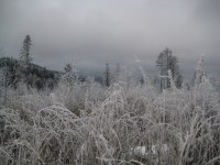 /album/fotogaleria-fotogaleria/file0047-jpg/