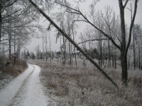 /album/fotogaleria-fotogaleria/file0048-jpg/