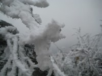 /album/fotogaleria-fotogaleria/file0051-jpg/