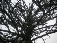 /album/fotogaleria-fotogaleria/file0052-jpg/