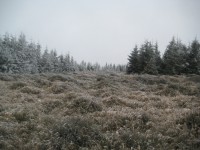 /album/fotogaleria-fotogaleria/file0053-jpg/