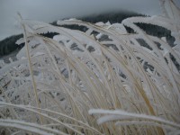 /album/fotogaleria-fotogaleria/file0054-jpg/