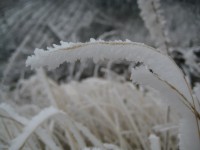 /album/fotogaleria-fotogaleria/file0055-jpg/