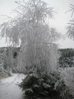 /album/fotogaleria-fotogaleria/file0056-jpg/