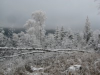 /album/fotogaleria-fotogaleria/file0059-jpg/