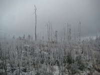 /album/fotogaleria-fotogaleria/file0060-jpg/