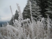 /album/fotogaleria-fotogaleria/file0061-jpg/