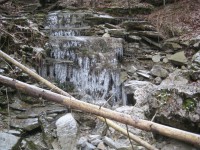 /album/fotogaleria-fotogaleria/file0063-jpg/