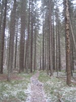 /album/fotogaleria-fotogaleria/file0064-jpg/