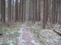 /album/fotogaleria-fotogaleria/file0065-jpg/