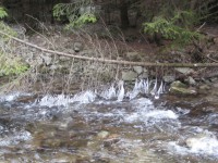 /album/fotogaleria-fotogaleria/file0067-jpg/