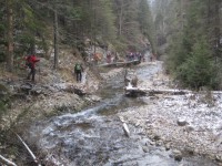 /album/fotogaleria-fotogaleria/file0069-jpg/
