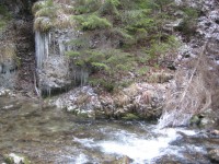 /album/fotogaleria-fotogaleria/file0070-jpg/