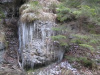 /album/fotogaleria-fotogaleria/file0071-jpg/