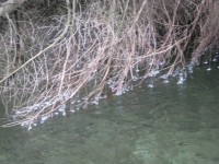 /album/fotogaleria-fotogaleria/file0072-jpg/