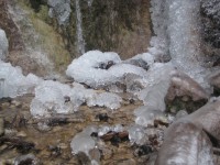 /album/fotogaleria-fotogaleria/file0078-jpg/