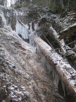 /album/fotogaleria-fotogaleria/file0079-jpg/