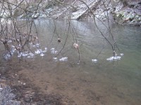 /album/fotogaleria-fotogaleria/file0081-jpg/