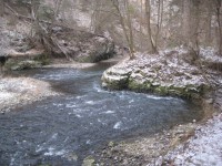 /album/fotogaleria-fotogaleria/file0082-jpg/