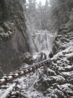 /album/fotogaleria-fotogaleria/file0120-jpg/